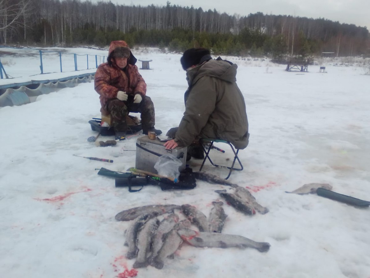 Платная рыбалка форель. Платная рыбалка на форель. Платная зимняя рыбалка. Платная форелевая рыбалка. Платная рыбалка зимой.